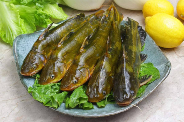 蔬菜配送哪些公司好干