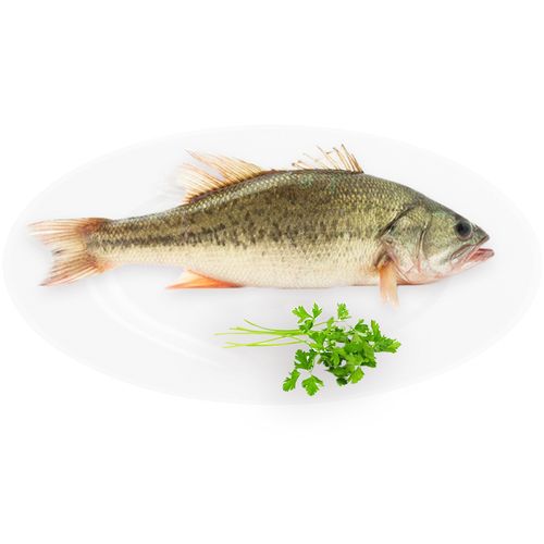 鄱陽蔬菜批發(fā)配送中心