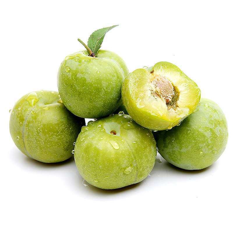 初春進補四款“養生菜”早春