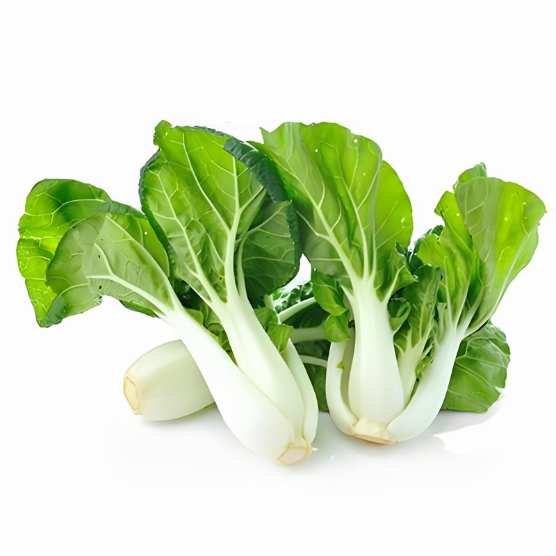 “春夏秋冬”喝茶的養生之道