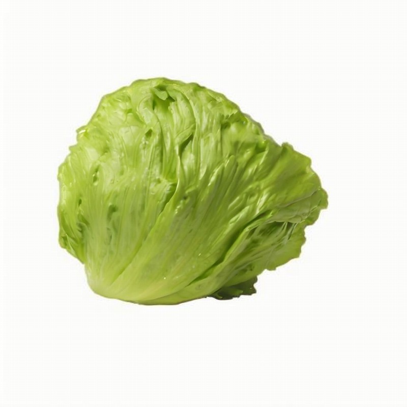 春光明媚的日子最容易爆發抑郁