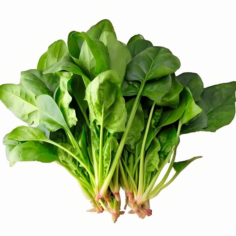 蔬菜配送價格,東莞蔬菜配送,食材配送