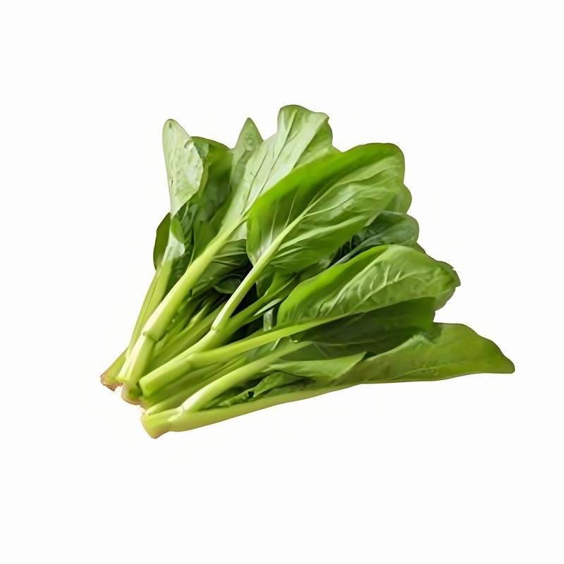 春分和立春是一回事嗎 春分和立春如何養生