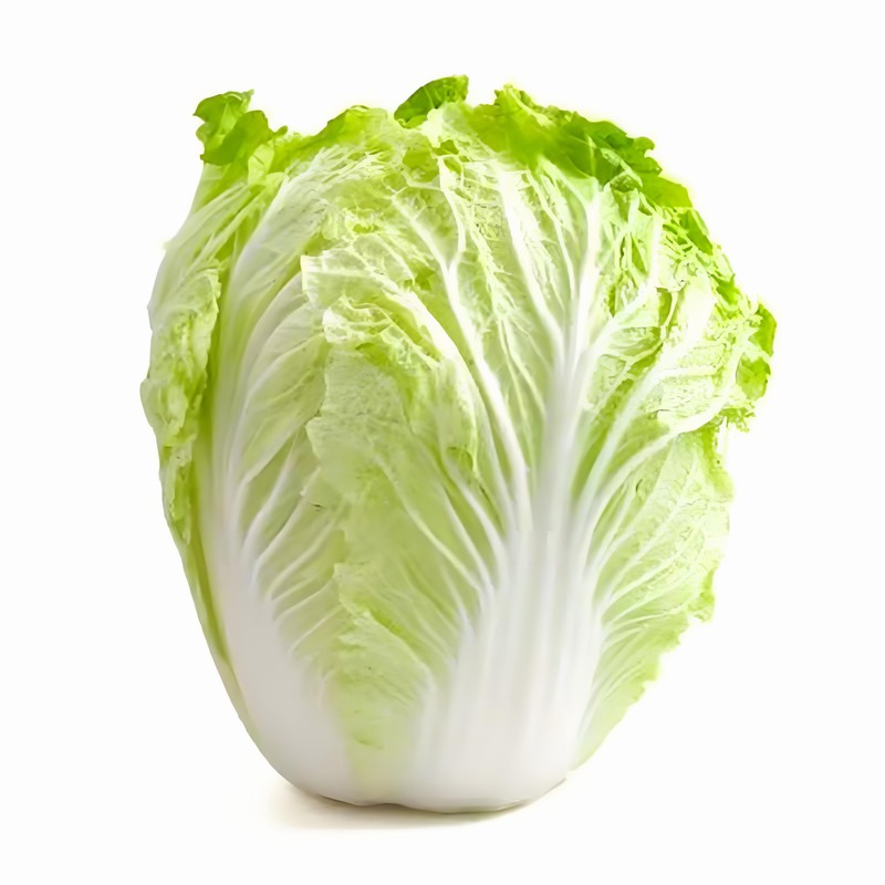 春分時節巧養生體質五行先分清